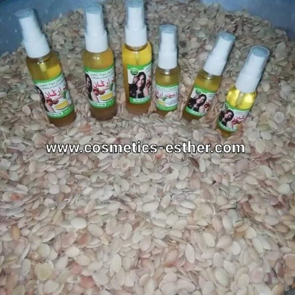Argan oil seeds – Image 5
