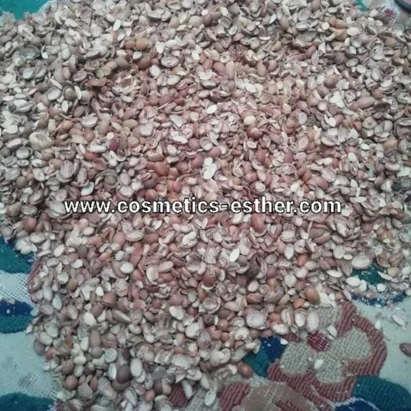Argan oil seeds – Image 8
