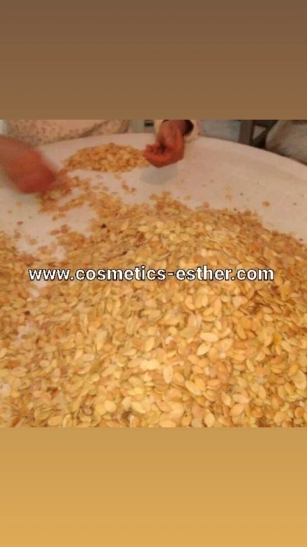 Argan oil seeds – Image 2