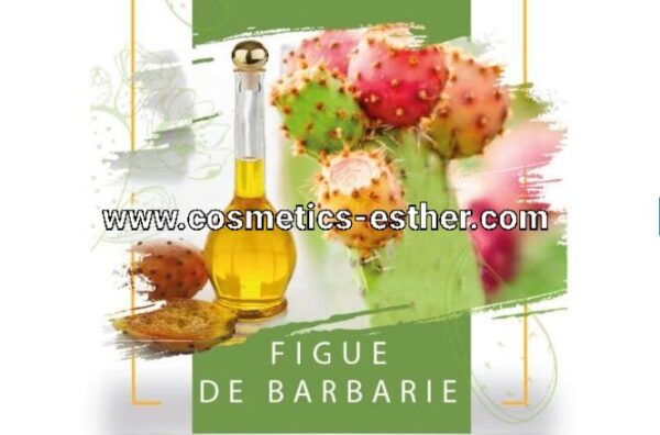 Prickly pear Oil - Image 2