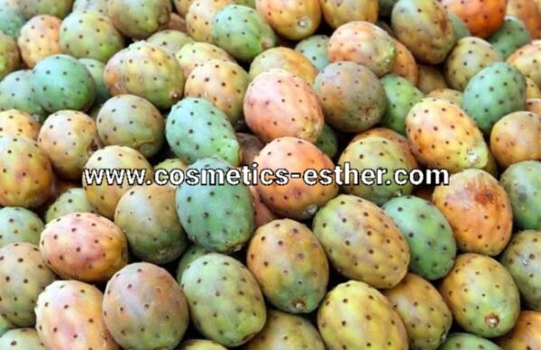 Prickly pear Oil - Image 4
