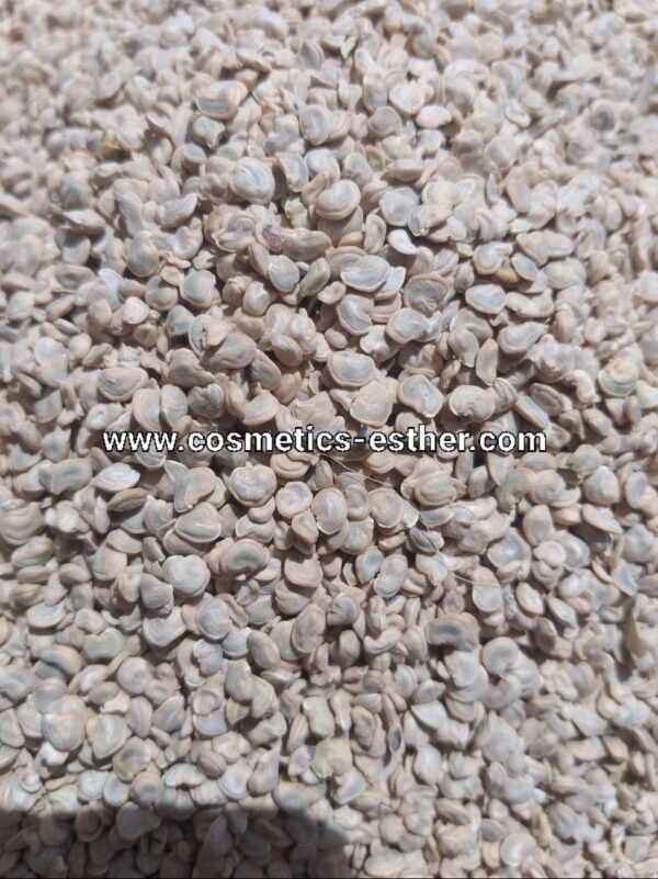 Prickly pear Oil - Image 3