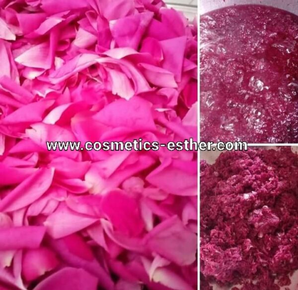 Rose water – Image 4